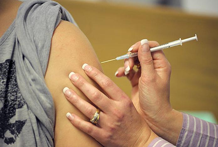 La vacuna de temporada utiliza las cepas de temporada de la pandemia de la influenza b y la A. (Suministrada)