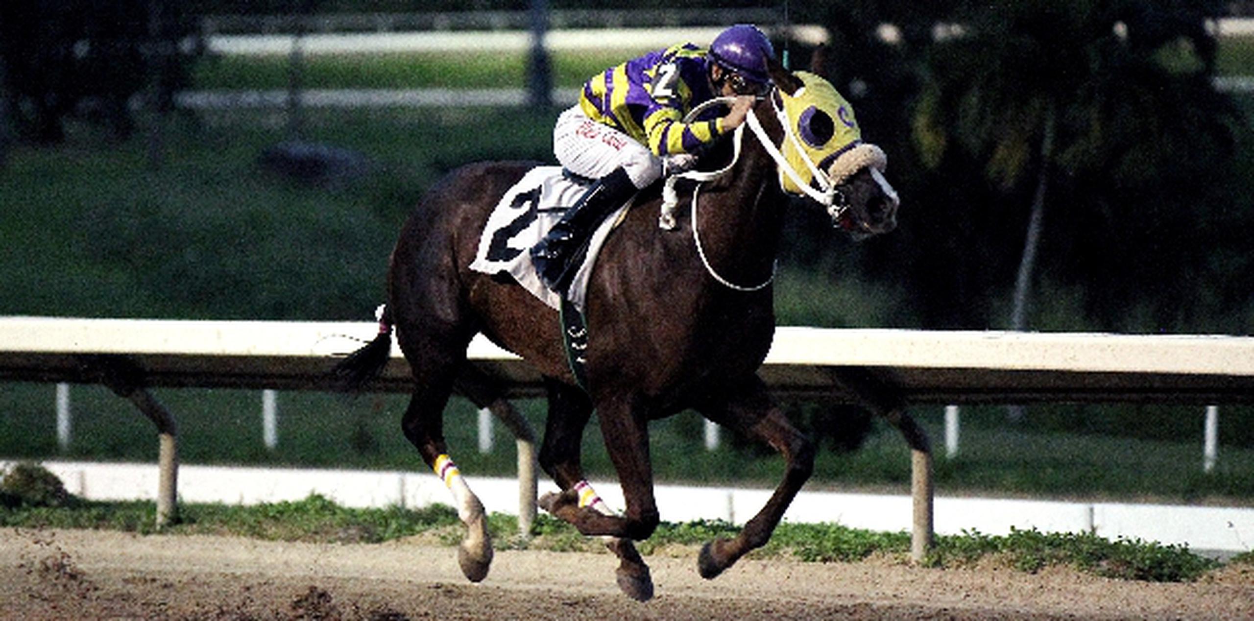 Inicia la temporada de subastas Primera Hora