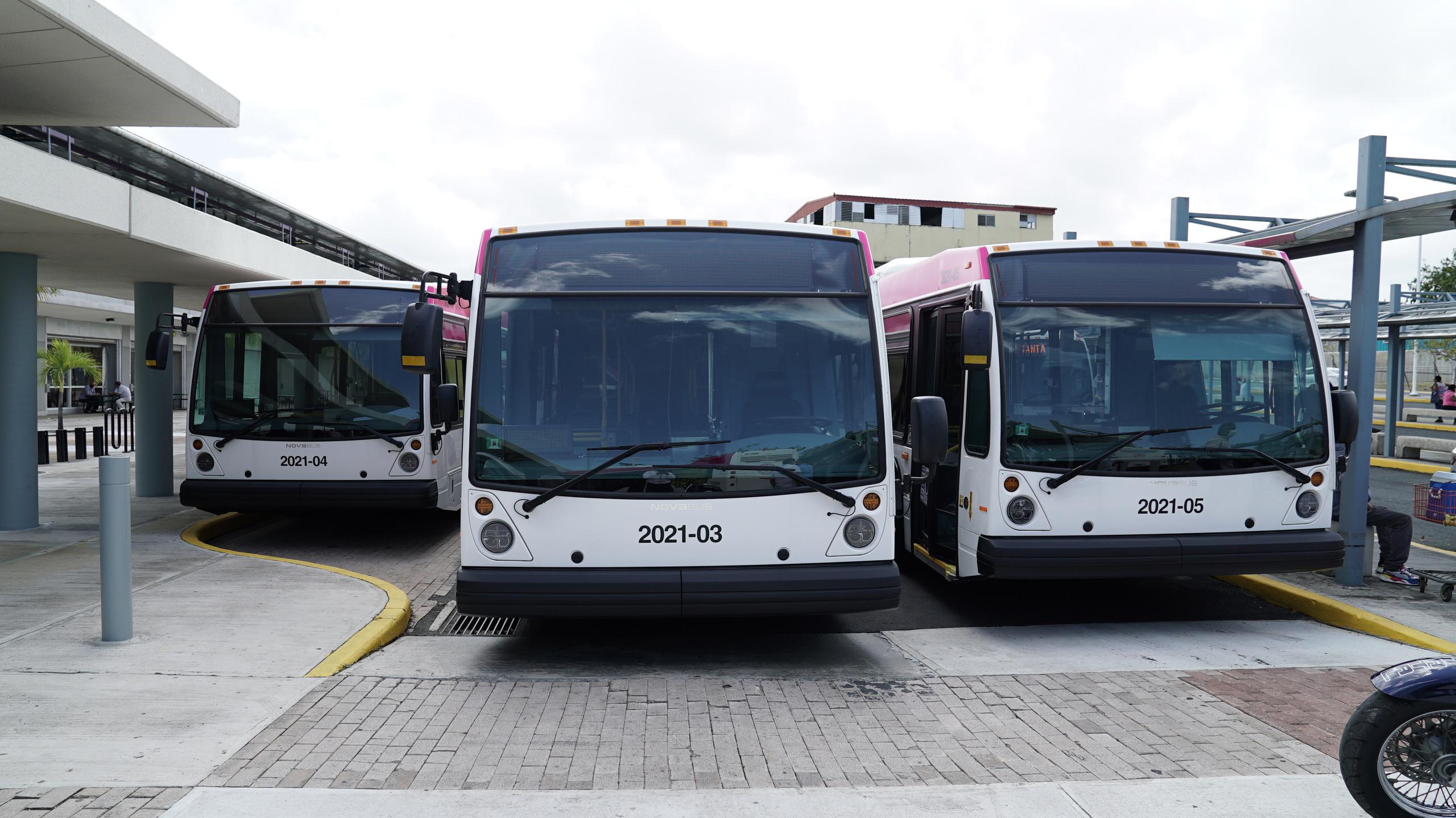 Las guaguas son del mismo fabricante, Nova Bus, de manera que se pueda estandarizar la flota y sea más fácil el proceso de adquirir piezas y dar mantenimiento.