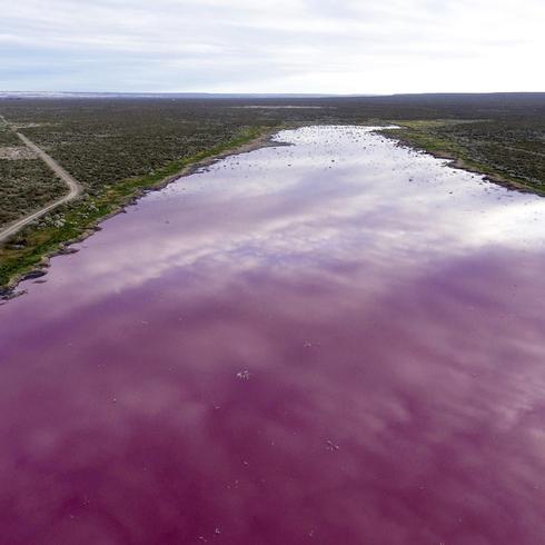 El misterio detrás de una laguna rosa en Argentina