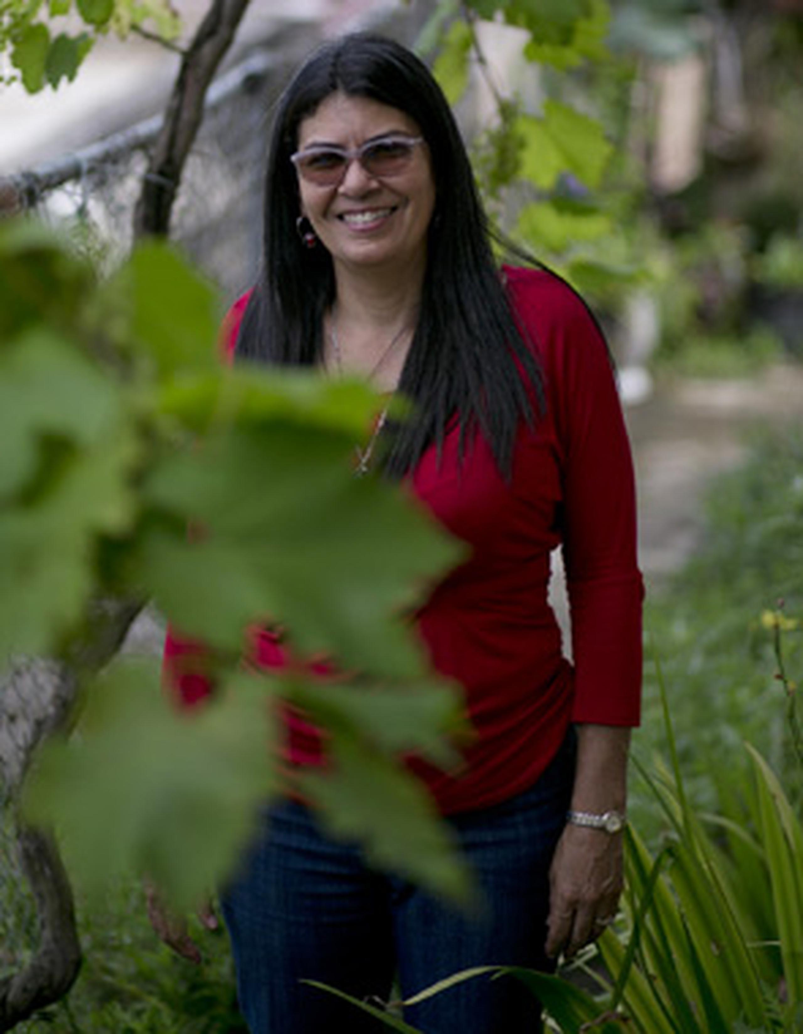 Marilyn Rosa imparte talleres educativos sobre el cultivo de uvas y fresas en su finca en el barrio Collores de 
Las Piedras. (teresa.canino@gfrmedia.com)