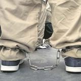 Duerme en prisión hombre acusado de maltrato a perro en Toa Baja 