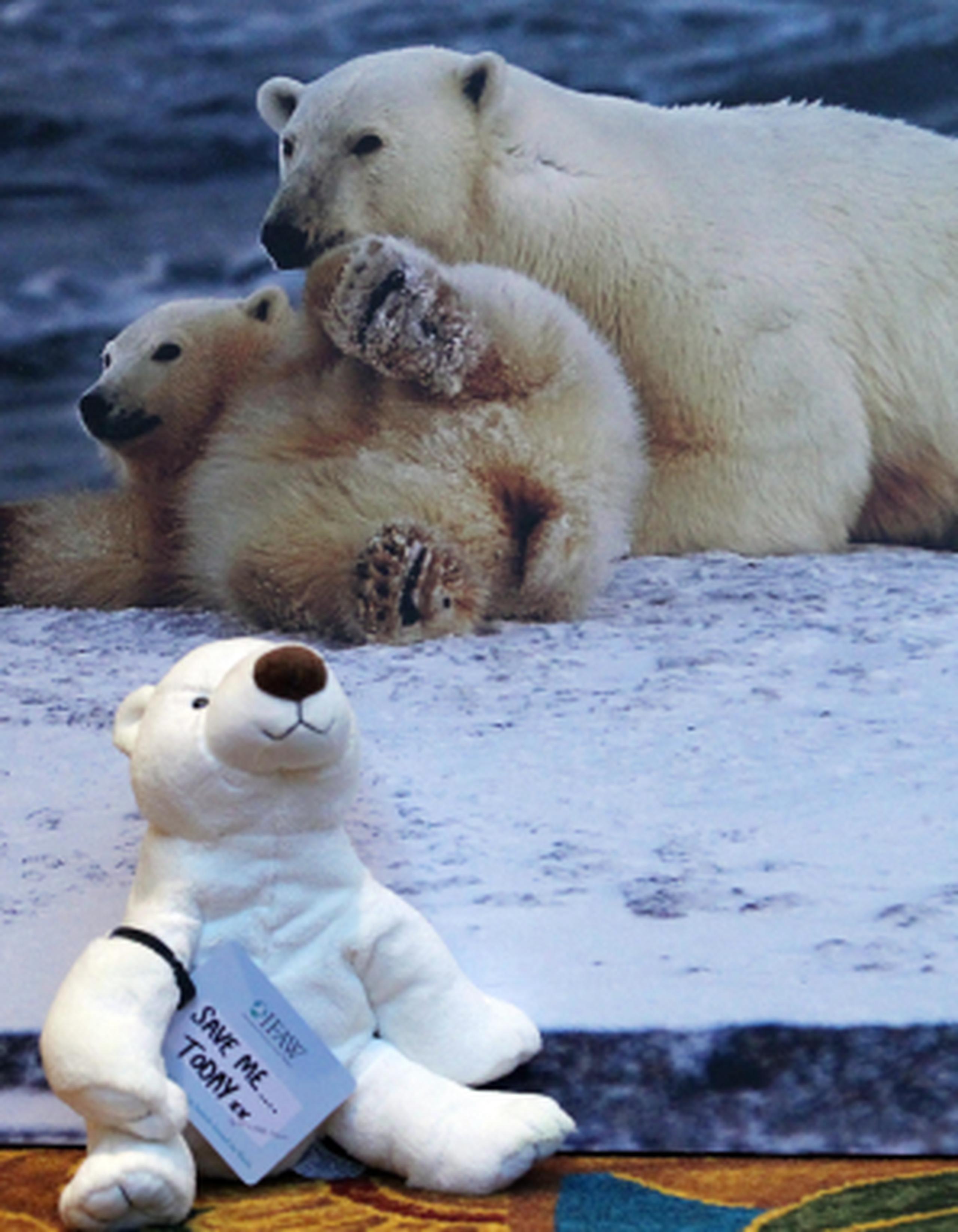 No todos los conservacionistas apoyaron la inclusión del oso polar en el apéndice 1 y algunas como WWF se mostraron contrarias a la propuesta. (EFE)