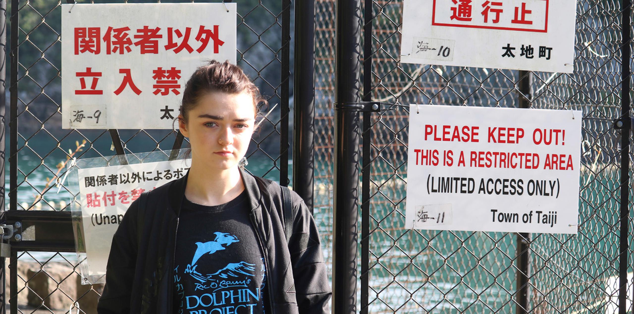 Williams habló el viernes en la pequeña localidad japonesa de Taiji, que se hizo famosa por la oscarizada película de 2009 "The Cove", que documentó la caza de delfines y estaba protagonizada por Ric O'Barry, el entrenador de delfines de la serie de televisión "Flipper". (AP)