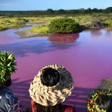Extraño hallazgo de agua rosada pone a correr a las autoridades de Hawaii