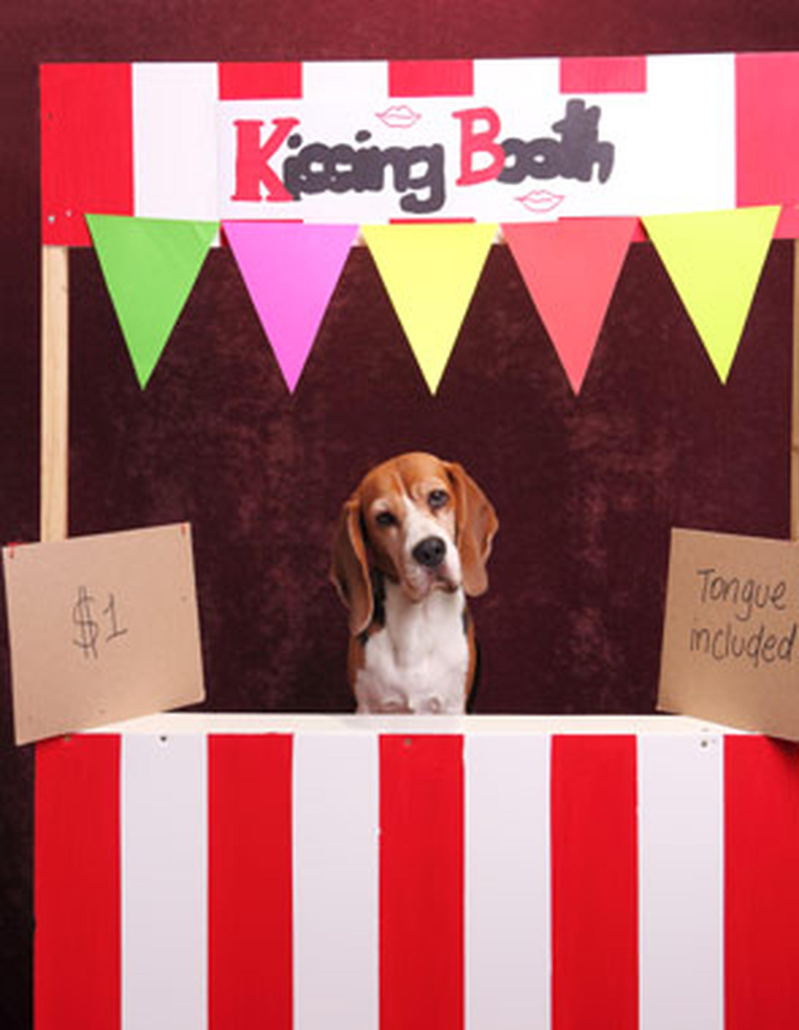 En la actividad del Hospital Para Mascotas en Trujillo Alto este próximo sábado, habrá una estación de besos perrunos (“kissing booth”). (Suministrada)