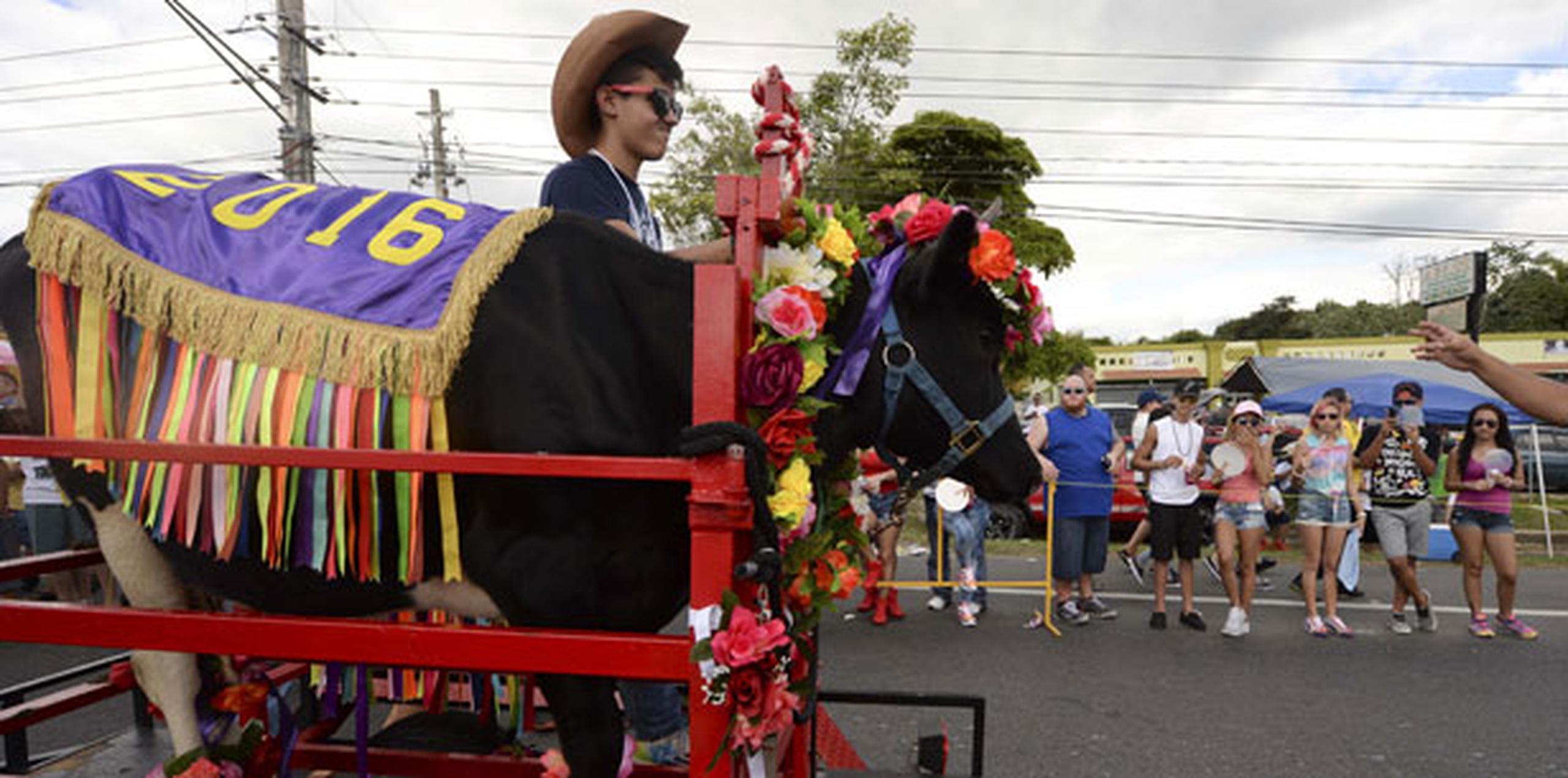 Pasean a la novilla adornada con flores en pintoresco festival