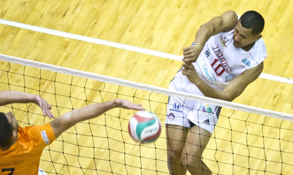 Selección de voleibol no descartará a sus más veteranos jugadores