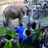 Exigen información sobre animales en el zoológico de Mayagüez