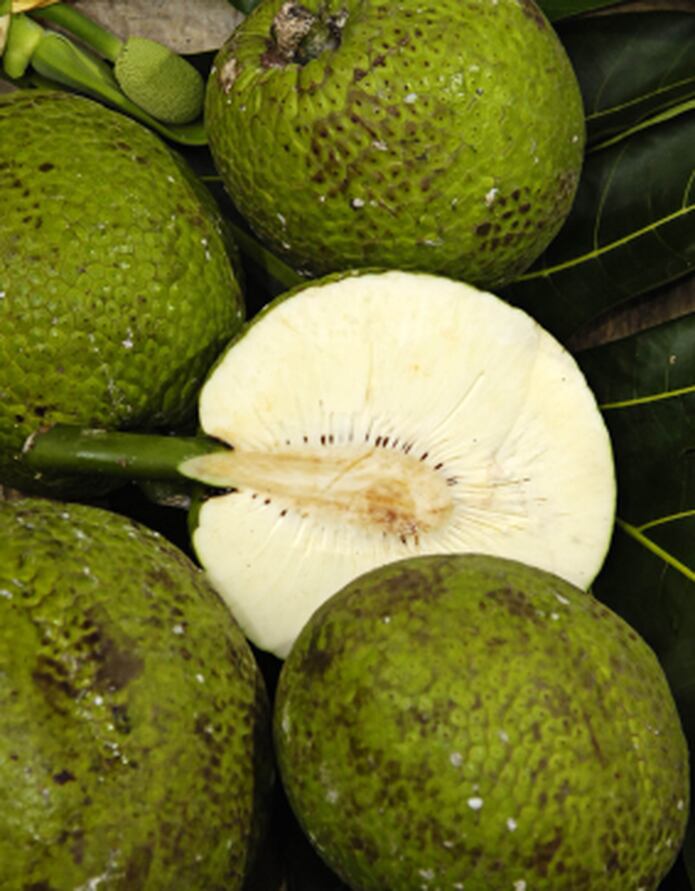 Dejate Seducir Por El Sabor De La Pana Primera Hora La pena album has 1 song sung by alex roy. dejate seducir por el sabor de la pana