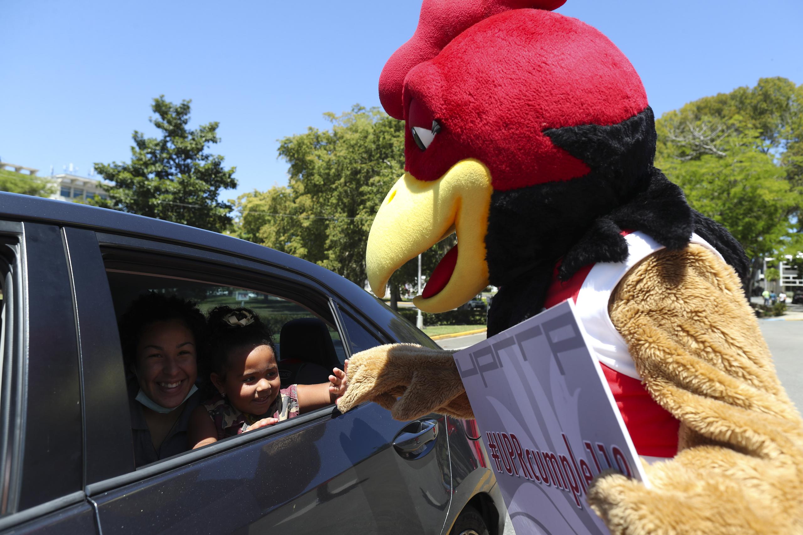 El gallito saluda a Emiliana Garcia en el "drive in" de la UPR, recorrido interactivo por el campus riopedrense.
