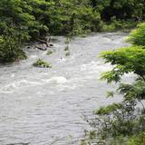 Rescatistas localizan hombre desaparecido en río de Ceiba 