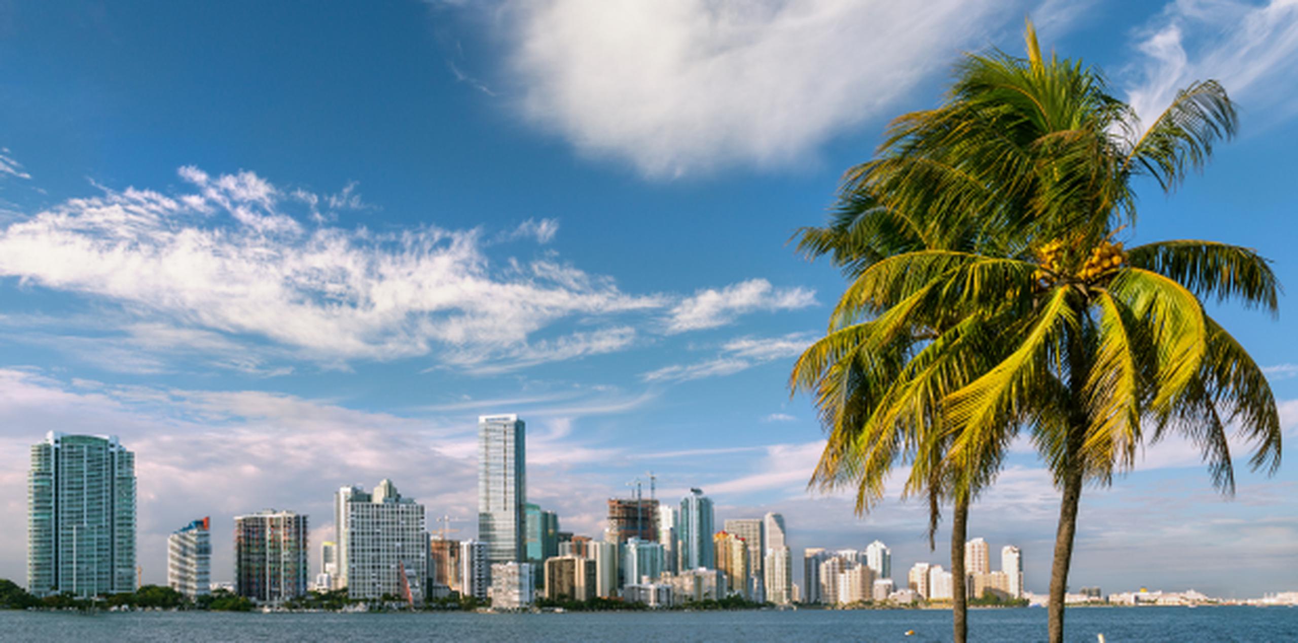 Pese a las bajas temperaturas, el cielo está despejado y el sol brilla durante el día en ciudades como Miami. (Shutterstock)