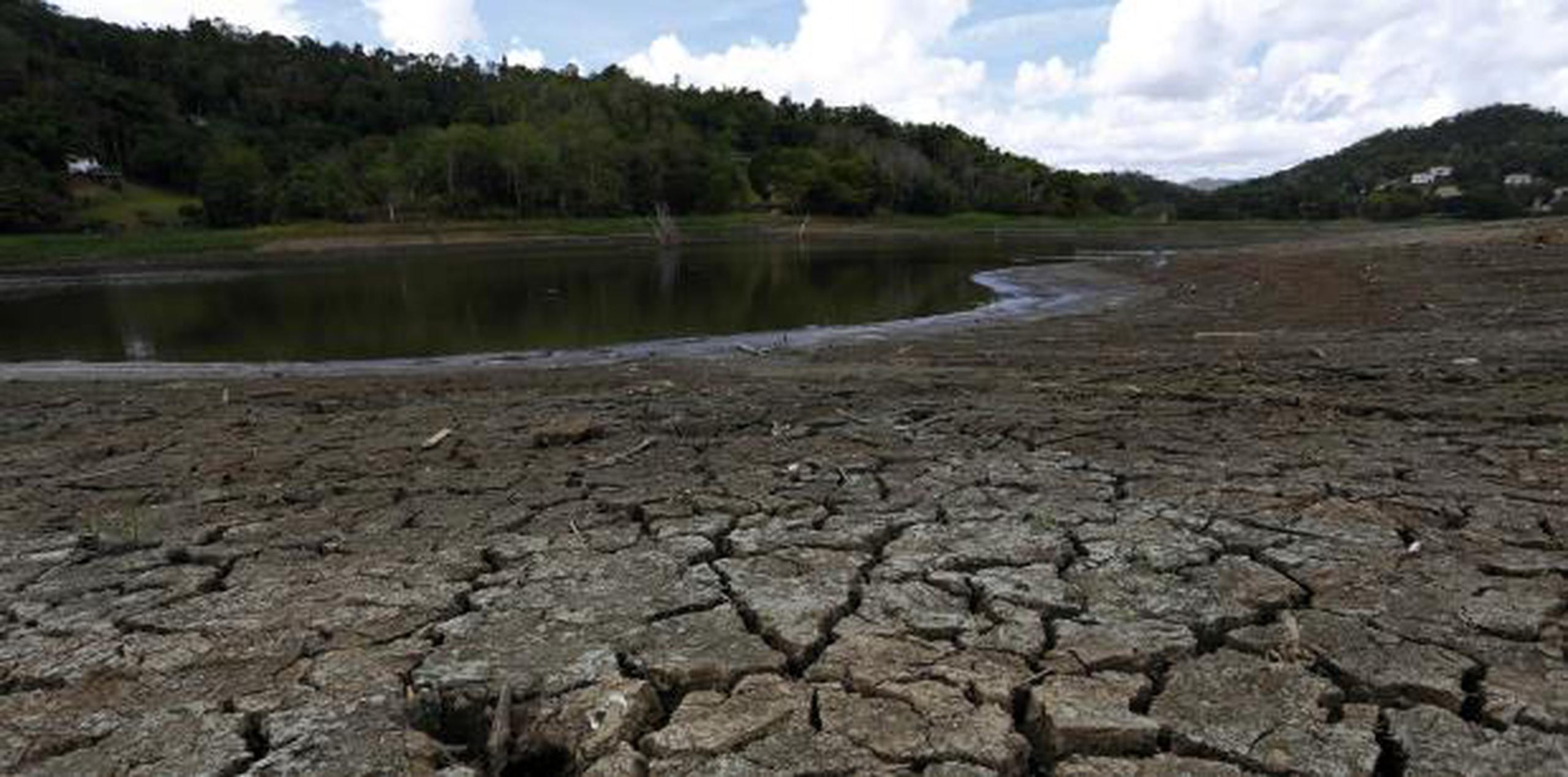 Un 17% de la superficie de Puerto Rico se encuentra bajo condiciones de sequía moderada, según el Monitor de Sequía de Estados Unidos. (EFE)