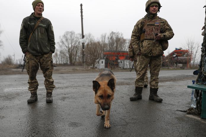 Imagen de soldados con un perro en Ucrania. EFE/EPA/ATEF SAFADI
