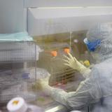 Aparece tratamiento con “resultados prometedores” para cáncer cerebral infantil 