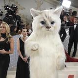 La razón por la que Jared Leto apareció vestido de gato en la gala del Met