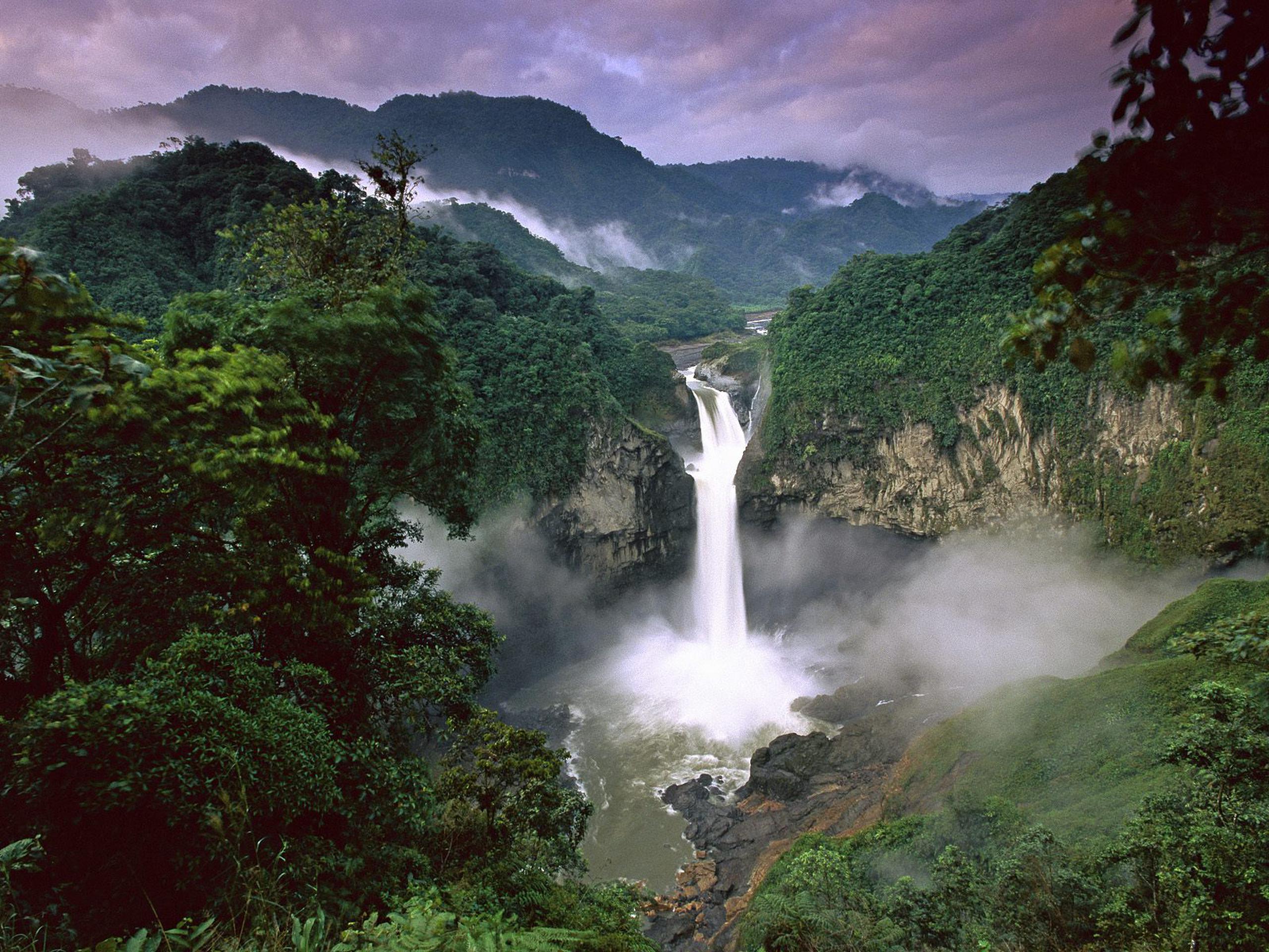 Durante la jornada se hizo énfasis en la protección de la Amazonia, que hoy está en peligro por la deforestación descontrolada y el cambio climático.
