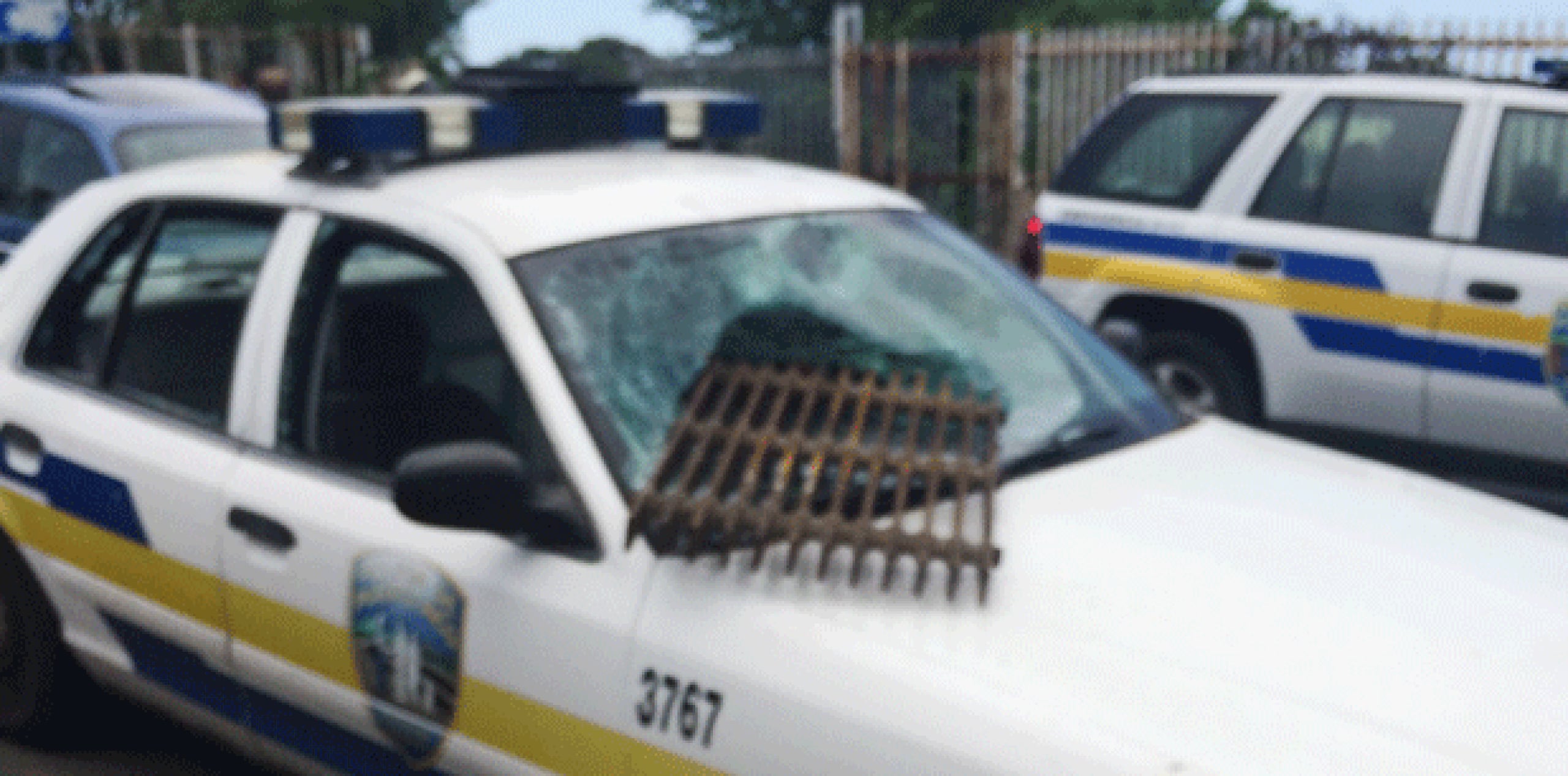 En medio de la reyerta, varias patrullas de la Policía resultaron con daños cuando los ciudadanos les lanzaron piedras y otros objetos. (Suministrada)