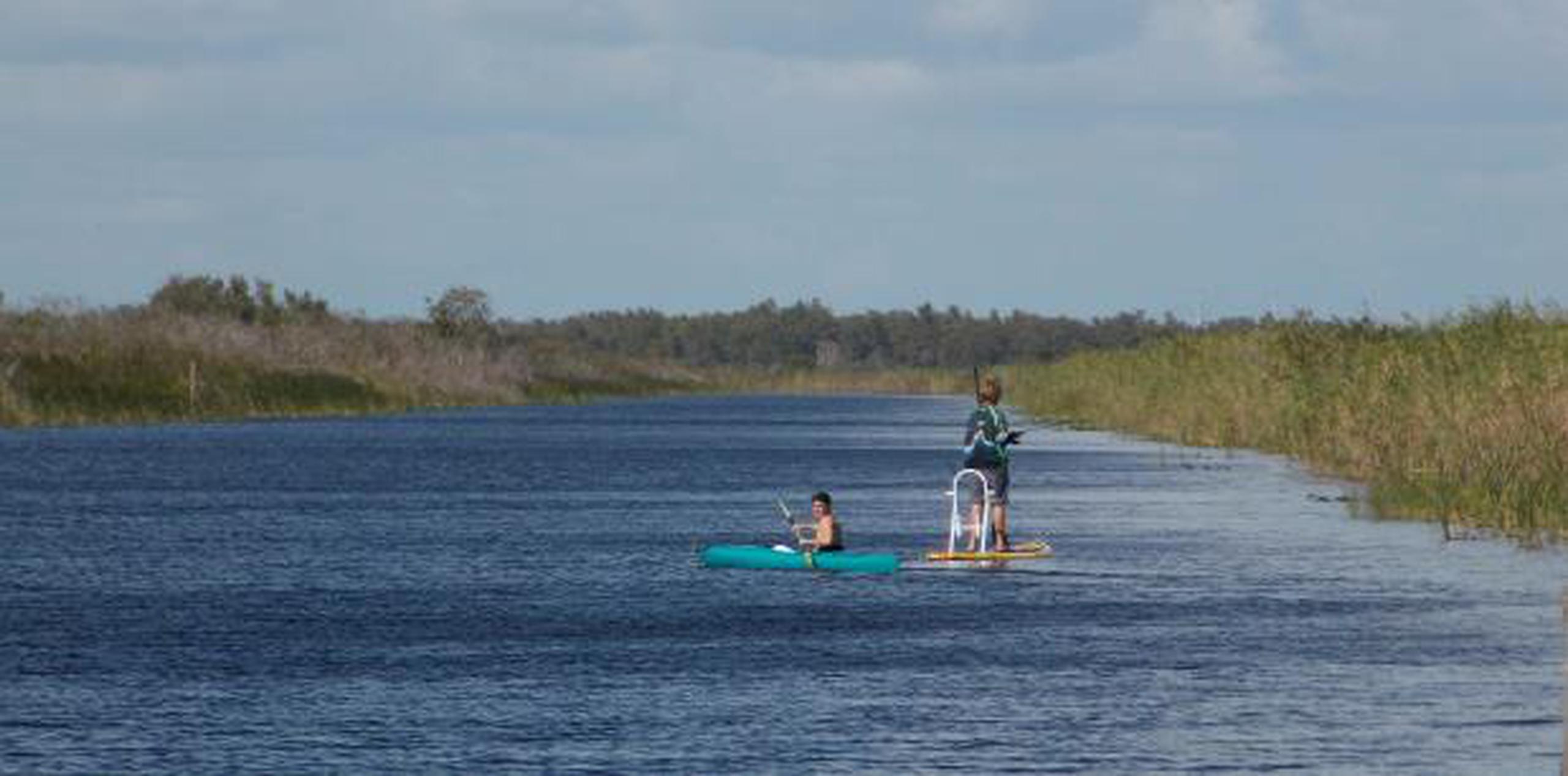 Los Everglades son un gigantesco humedal declarado reserva natural, del que depende el agua que se consume en una amplia zona de Florida y la vida de más de 20 especies de animales. (EFE / Ana Arroyo)