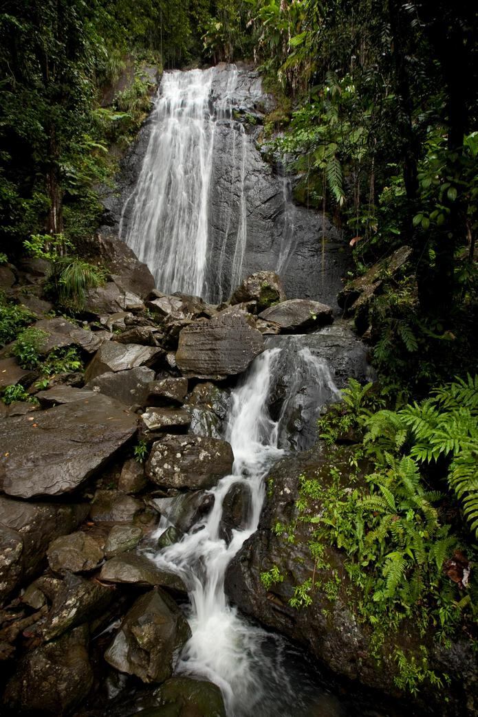 Se estima que El Yunque recibe 1.2 millones de visitantes al año, y la cascada La Coca es muy frecuentada. (GFR Media)