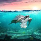 Llamado urgente a frenar la contaminación por plástico