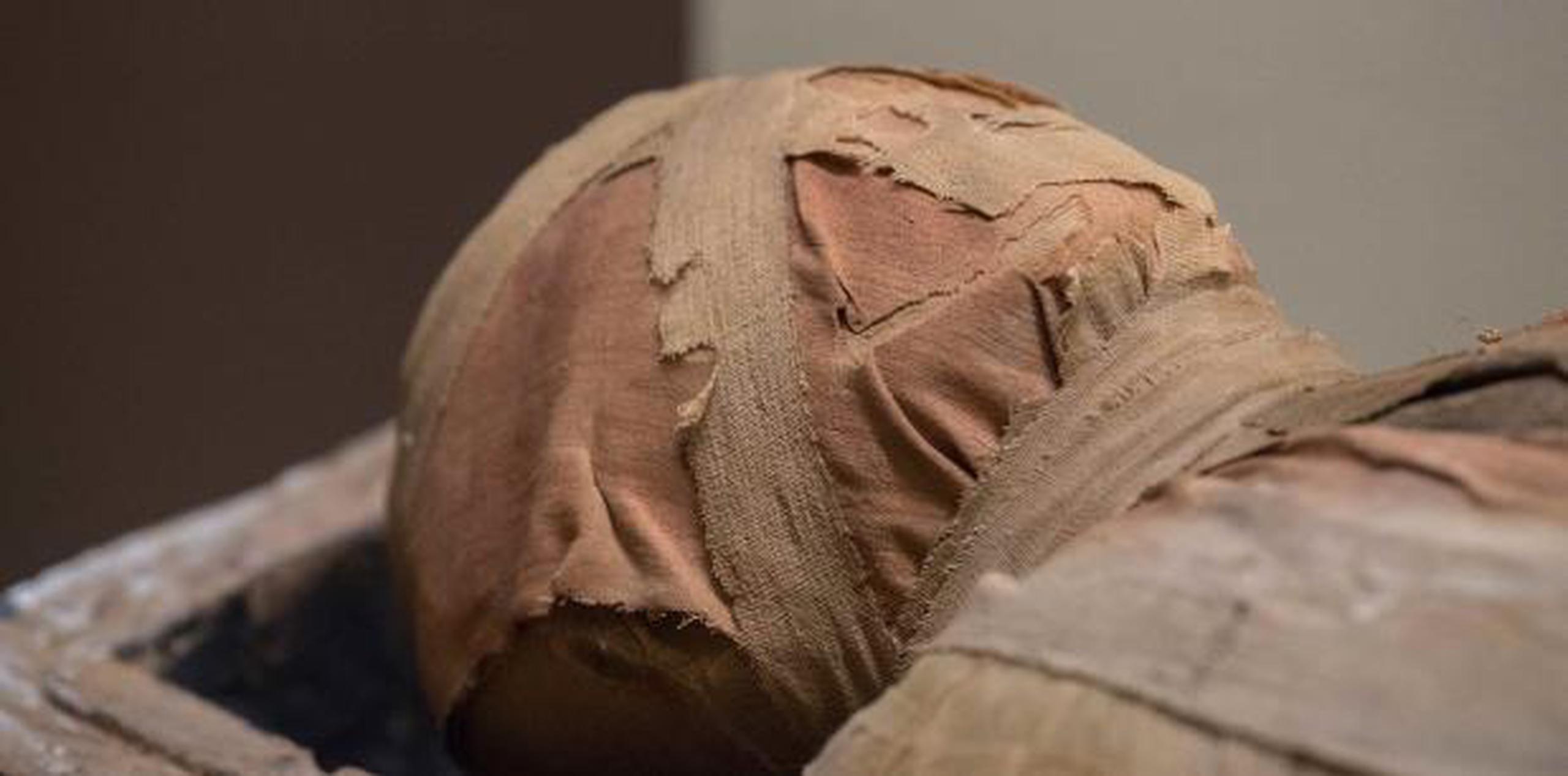 Las reliquias aparentemente salieron de Egipto de manera ilegal. (Shutterstock)