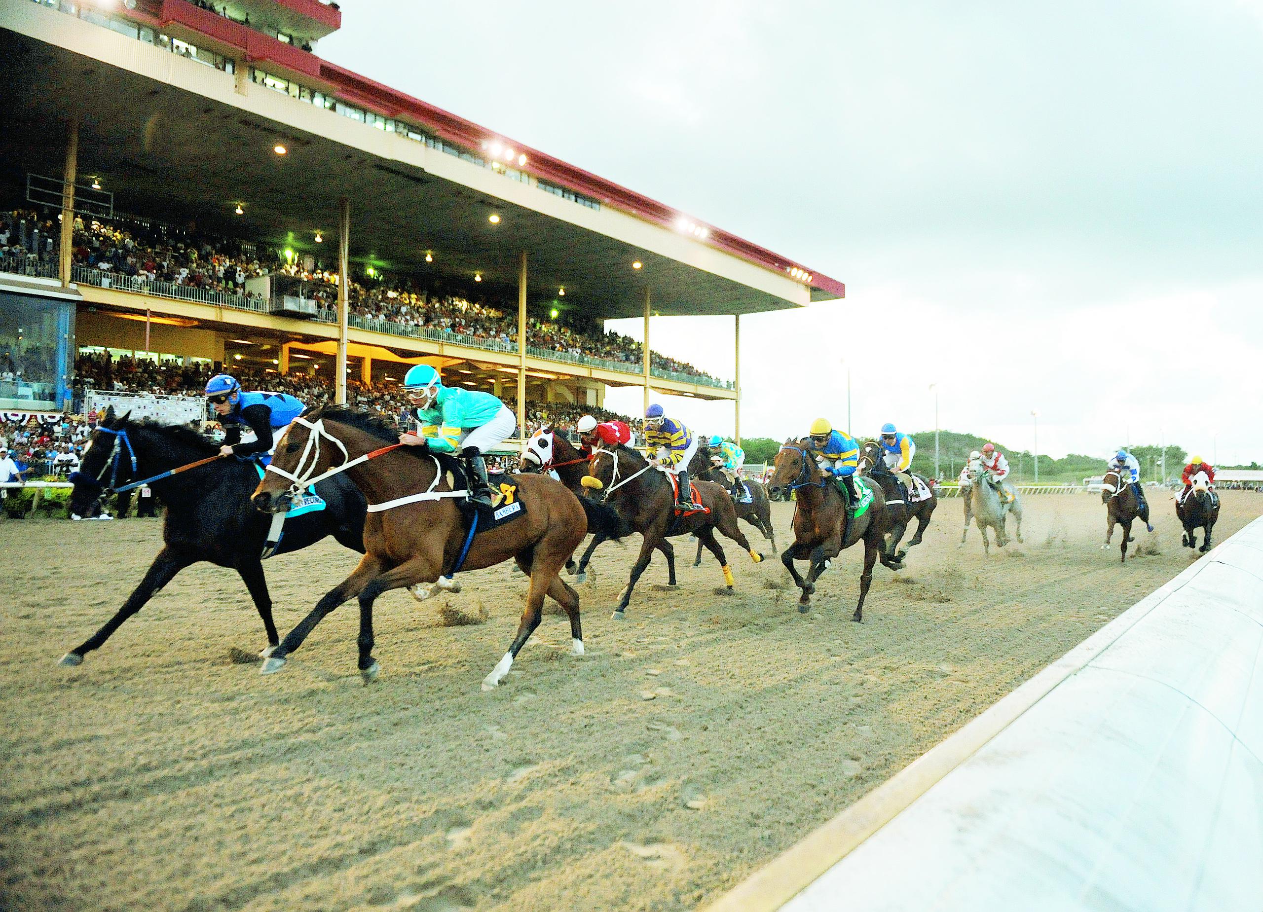 Representantes de la industria de las carreras de caballo exigieron que reanuden el deporte aunque no reciban público en el hipódromo.