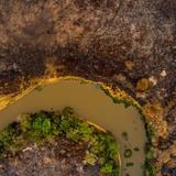 La deforestación vuelve a batir récords en la Amazonia brasileña