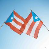 Exhortan a los boricuas en EE.UU. a festejar este domingo el Día de Afirmación Puertorriqueña