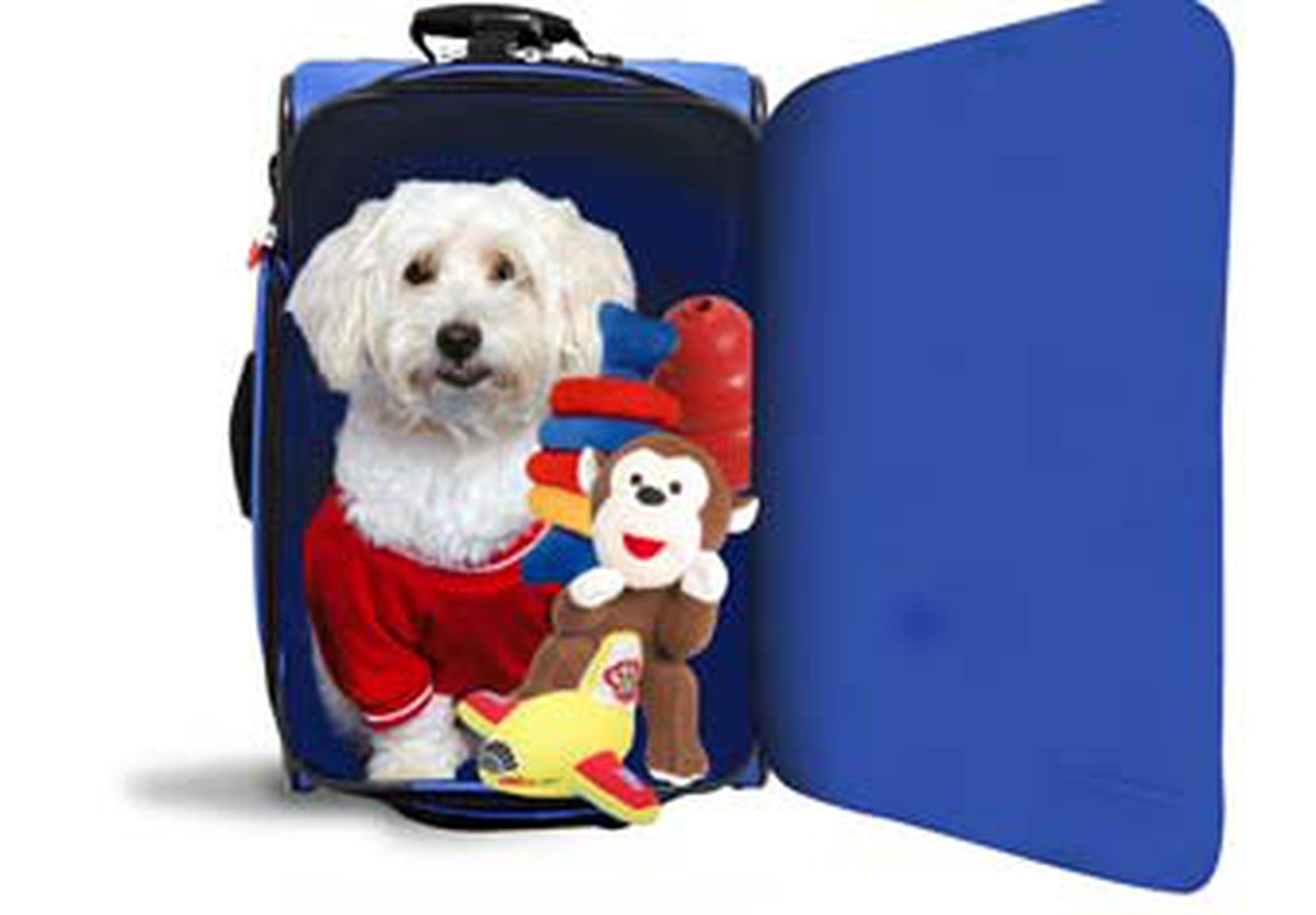 cuanto cuesta hospedar a tu perro en petsmart