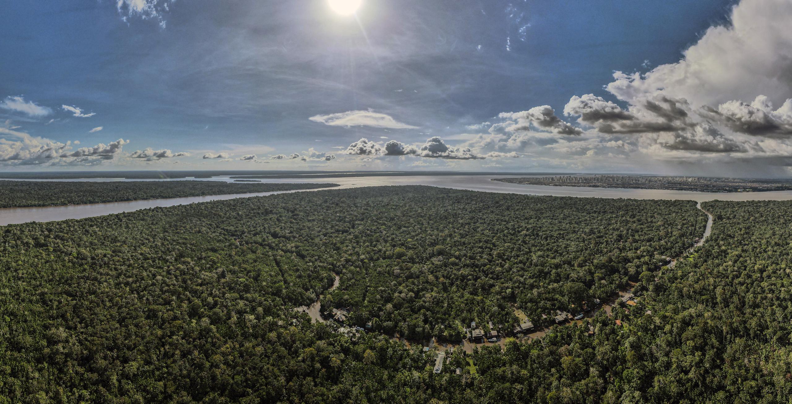 El área destruida en las Amazonas alcanzó su pico en enero de 2022. (EFE/Antonio Lacerda)