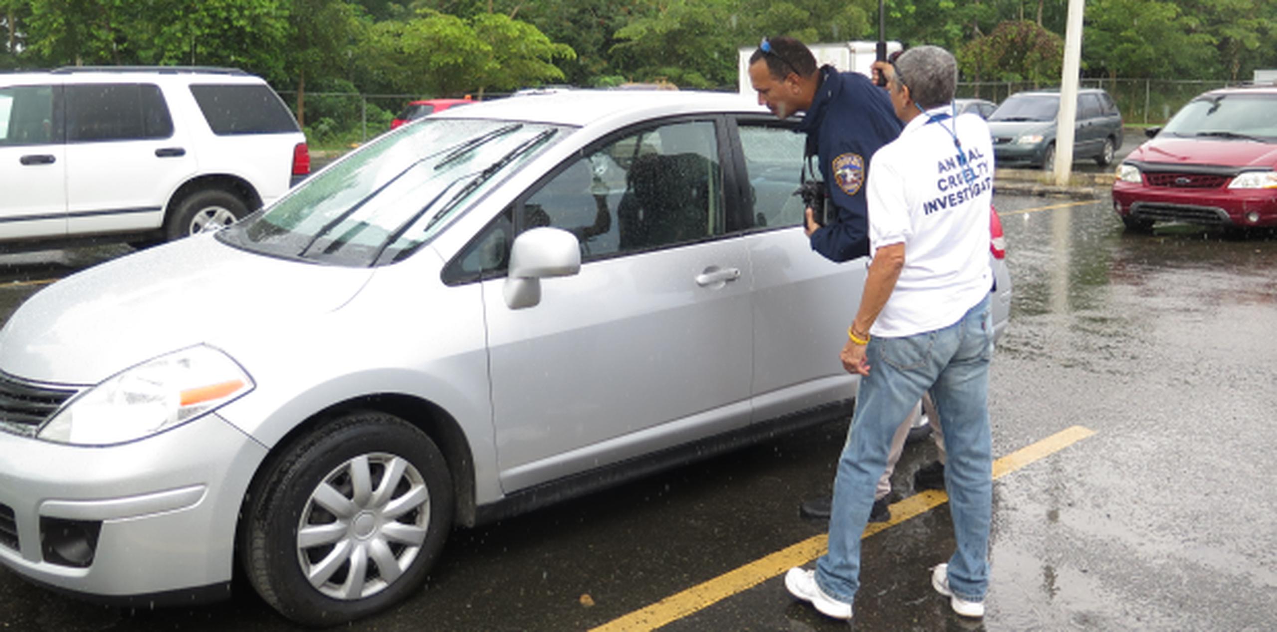 Los hechos ocurrieron en pasado 19 de octubre, a eso de la 11:50 am, en el estacionamiento del Mayagüez Emporium.  (daileen.rodriguez@gfrmedia.com)
