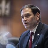 Dos sondeos reflejan estrechos márgenes a favor de DeSantis y el senador Rubio en Florida