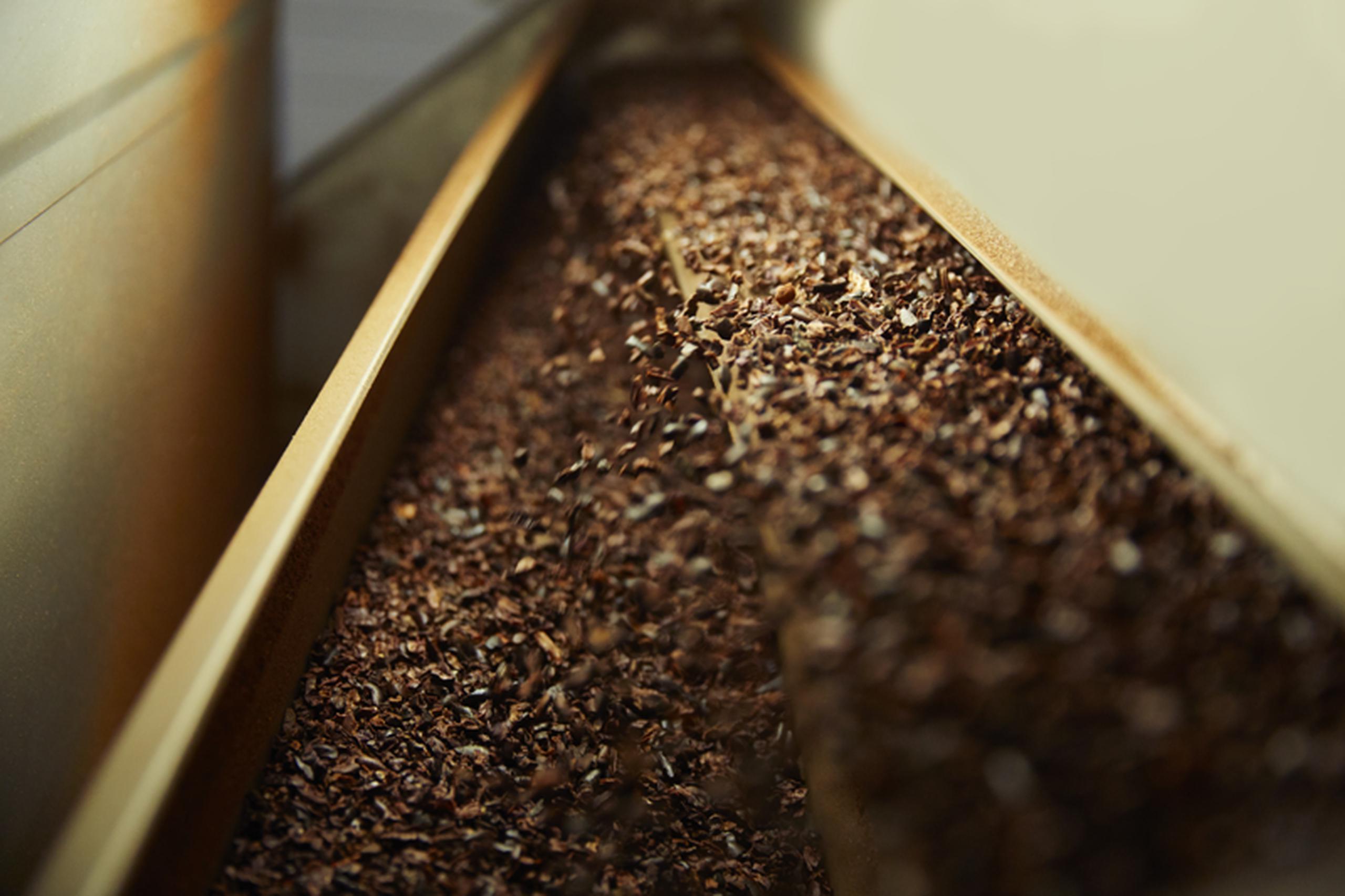 Los "nibs", pequeños trozos de granos de cacao triturados, son la base del chocolate.