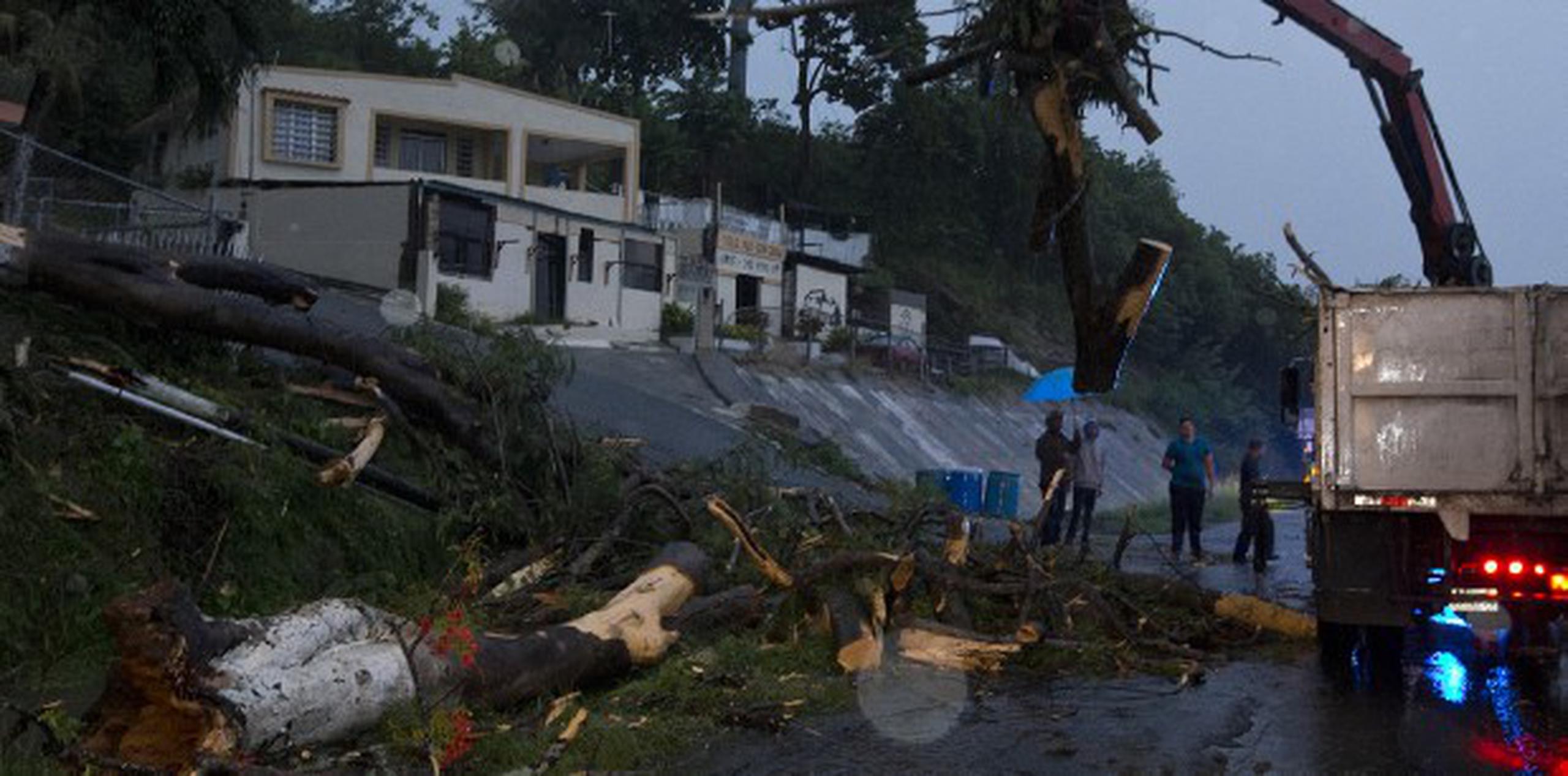 Un árbol cayó en la carretera PR 2, en Aguada. (jorge.ramirez@gfrmedia.com)