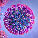 Inmunidad natural tras contraer COVID-19 se mantiene “sólida” durante meses