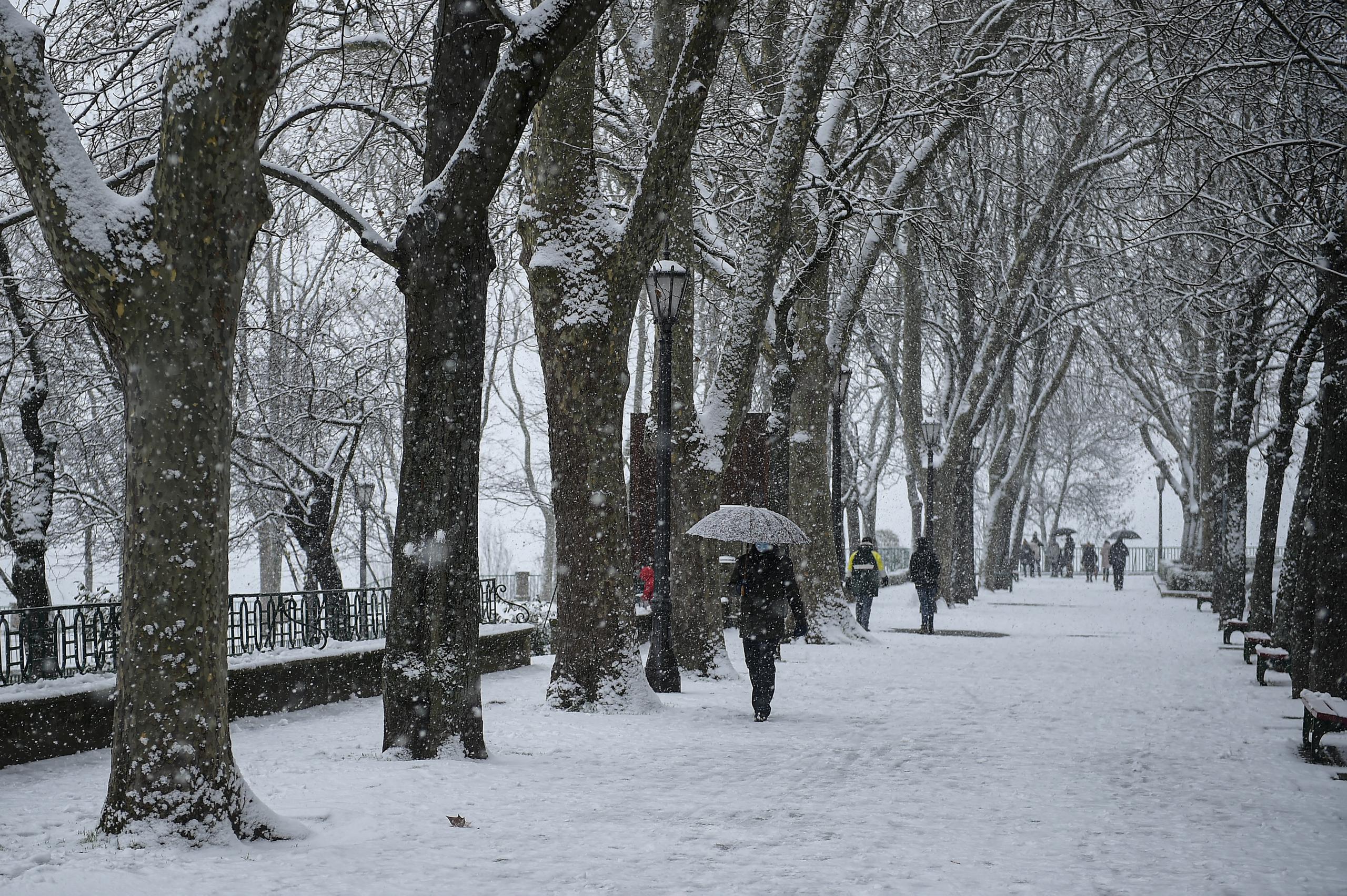 El ayuntamiento dijo en una evaluación preliminar que al menos 150,000 de los 800,000 árboles de Madrid cayeron bajo el peso de la nieve.