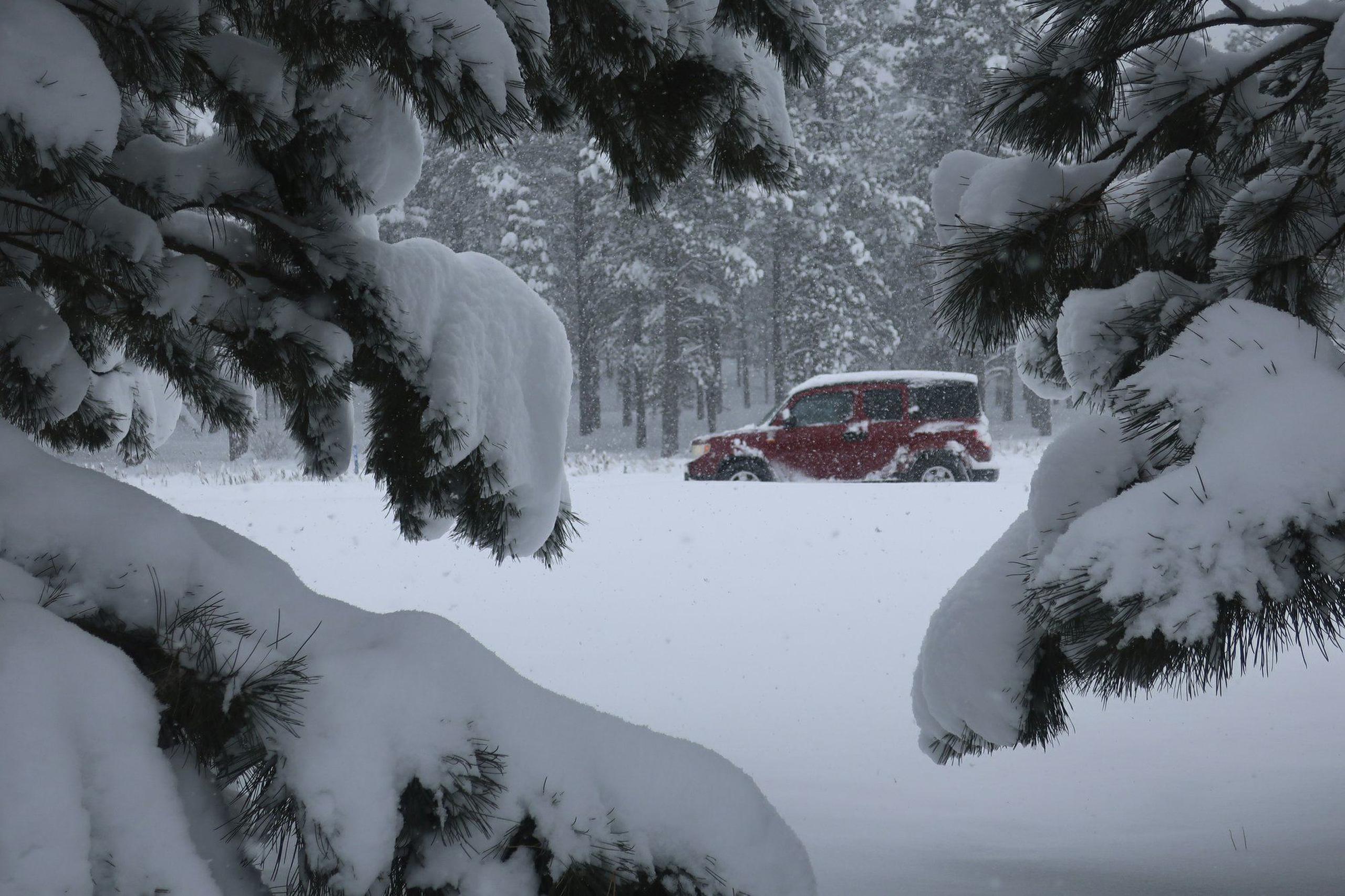 Nieve en Flagstaff, Arizona. (AP / Felicia Fonseca)