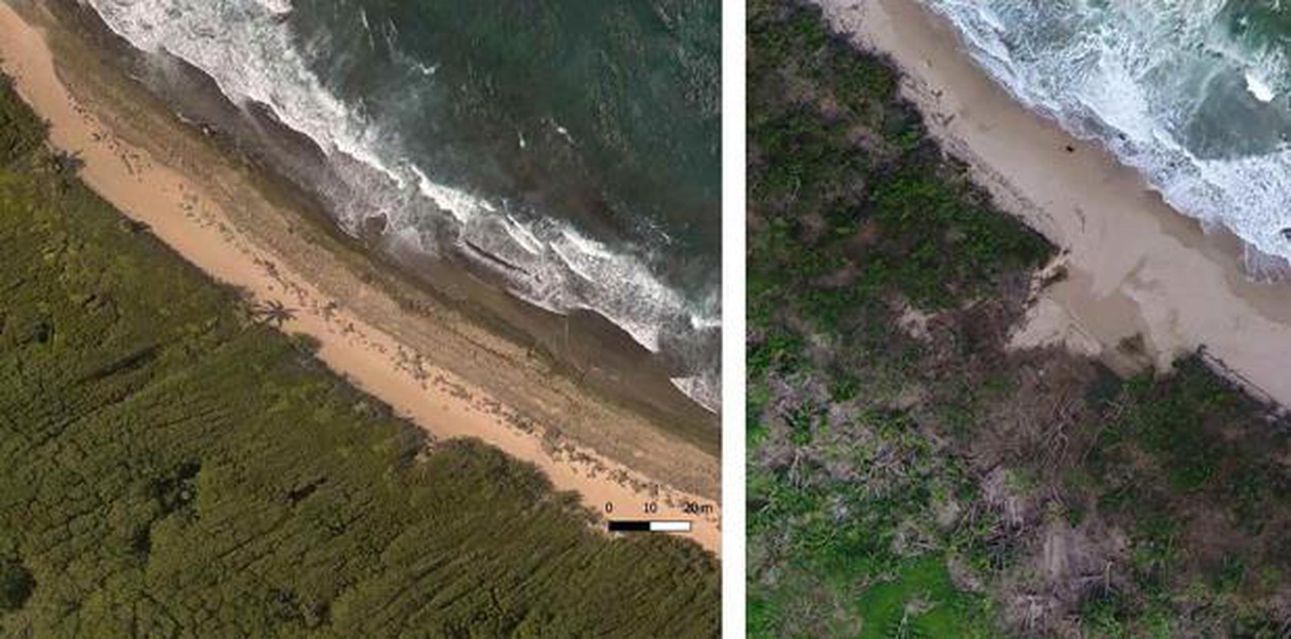 Manatí, antes y después del huracán María. (AP)