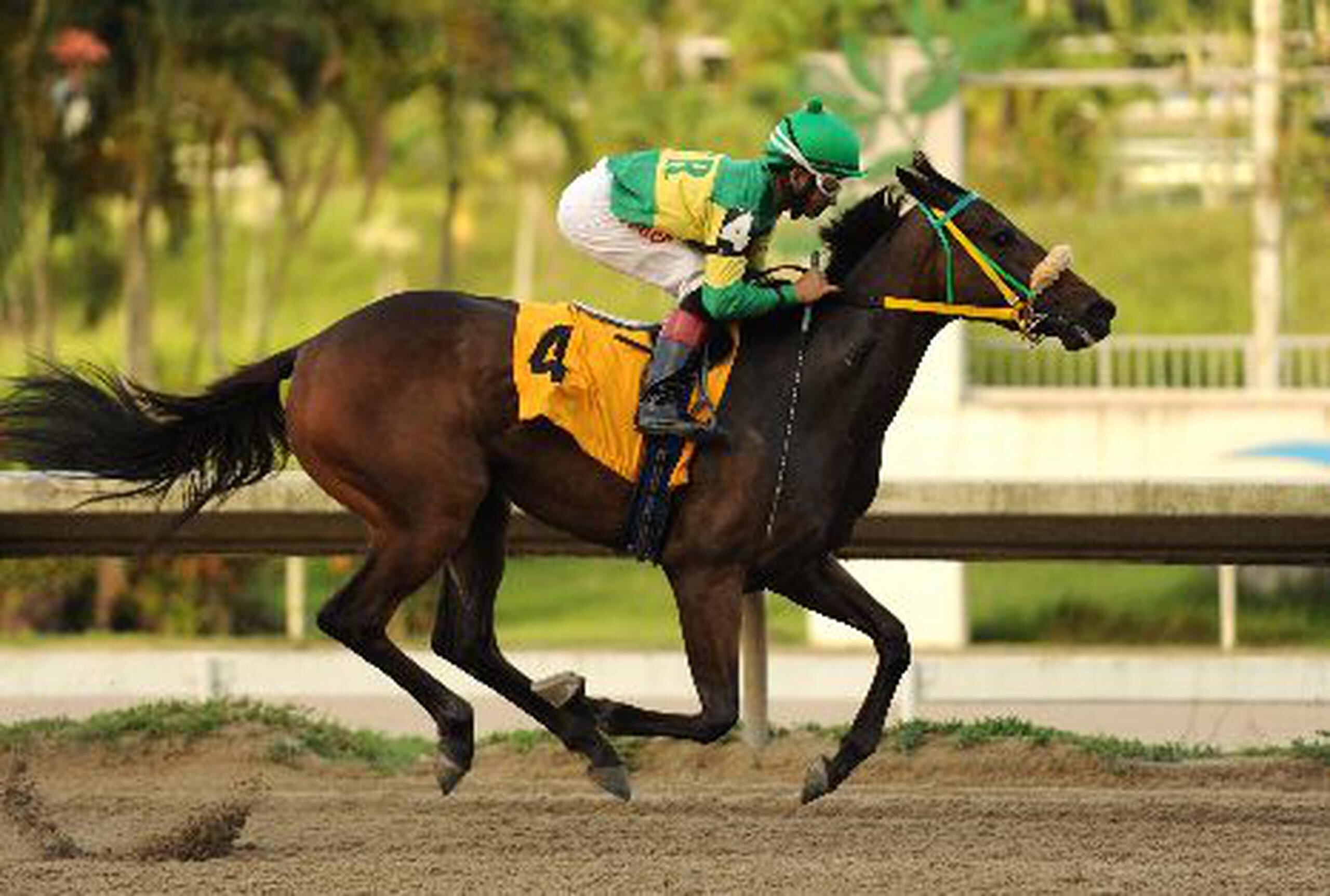 Inician las subastas Primera Hora