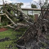 Tornado destruye decenas de viviendas y deja varios heridos en Florida 