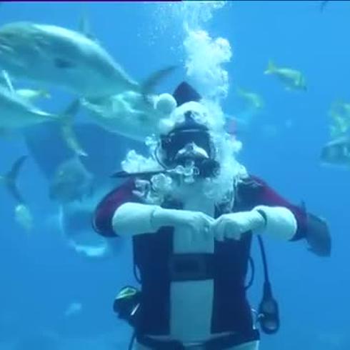 Santa Claus sorprende en acuario 