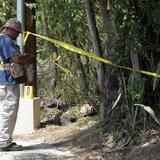 Empleados de ornato hallan restos humanos en Loíza