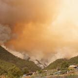 No pueden extinguir incendio forestal en Tenerife, España