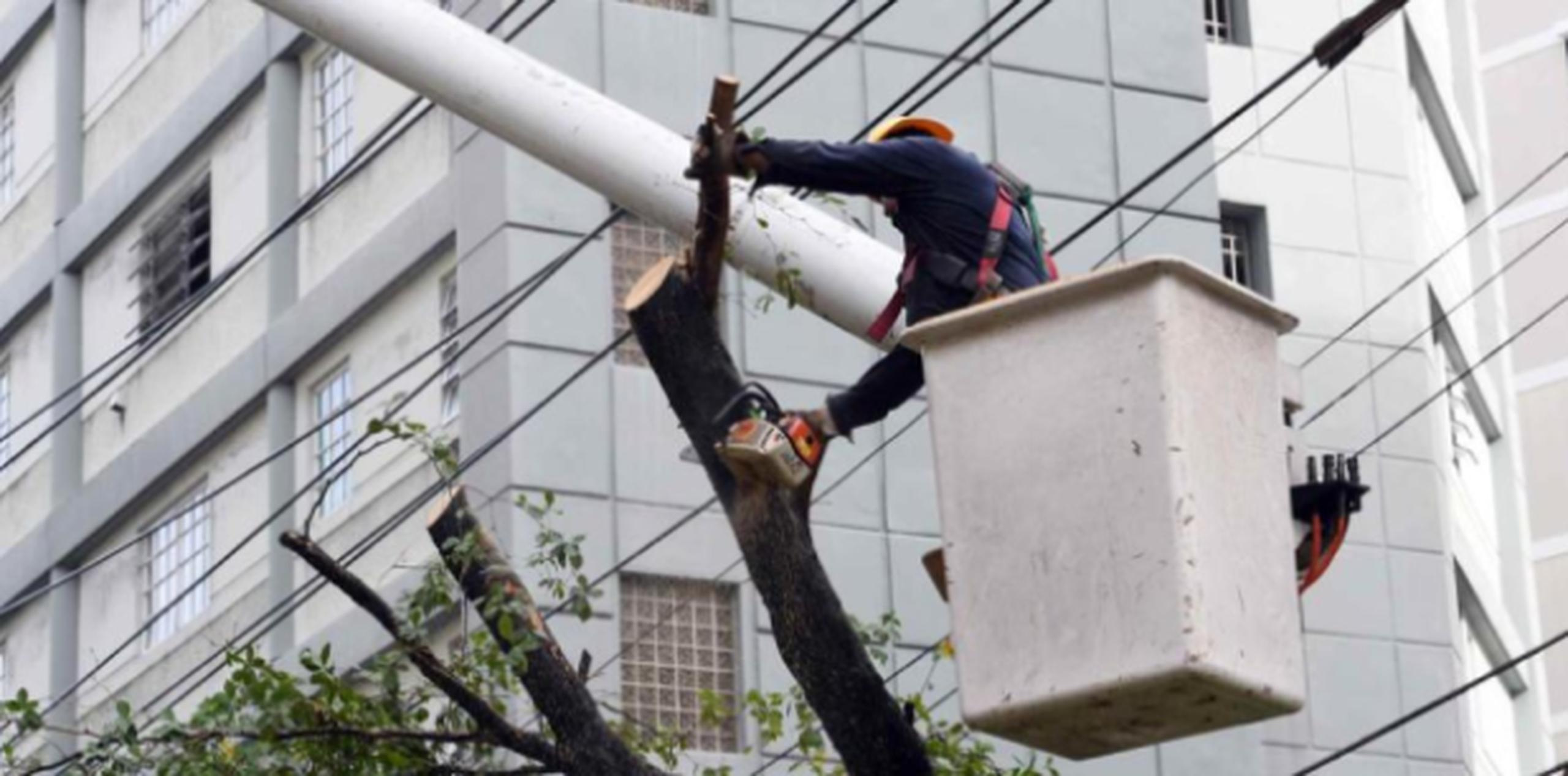 Brigadas de empleados de la Utier comenzaron a trabajar arduamente podando ramas de árboles que cayeron sobre líneas de electricidad. (andre.kang@gfrmedia.com)