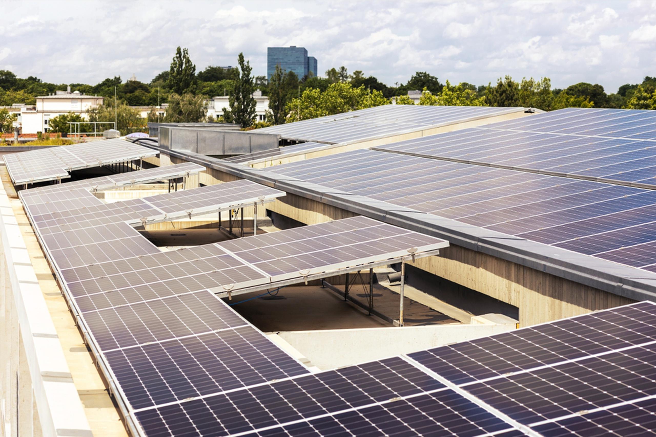 Las fincas solares y la instalación de paneles en hogares privados, en combinación, tienen la capacidad de suplir la mayor parte de la demanda energética de Puerto Rico.