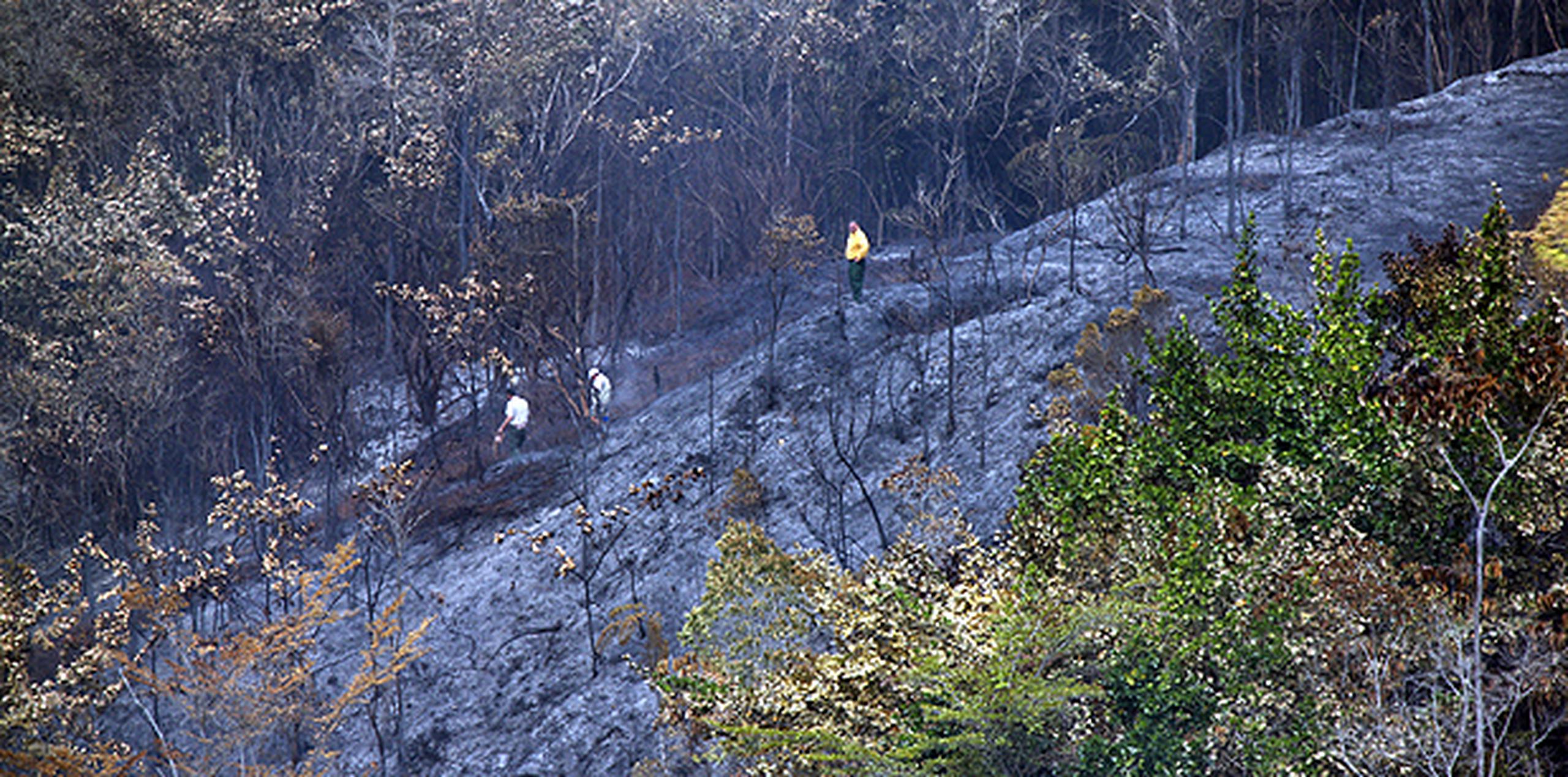 Bomberos forestales y personal del Departamento de Recursos Naturales y Ambientales (DRNA) permanecían en la zona monitoreando el siniestro, que se desató en una zona de difícil acceso. (jorge.ramirez@gfrmedia.com)
