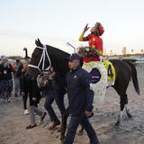 Irad Ortiz sobre Life is Good: “Creo que es el mejor caballo que he montado sobre la arena”