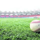 Puerto Rico en riesgo de perder sede latinoamericano Little League